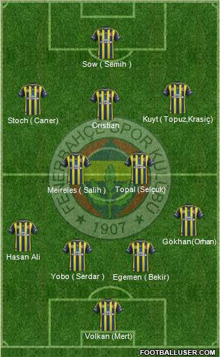 Fenerbahçe SK Formation 2013