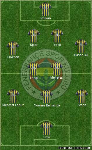 Fenerbahçe SK Formation 2013