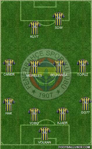 Fenerbahçe SK Formation 2013