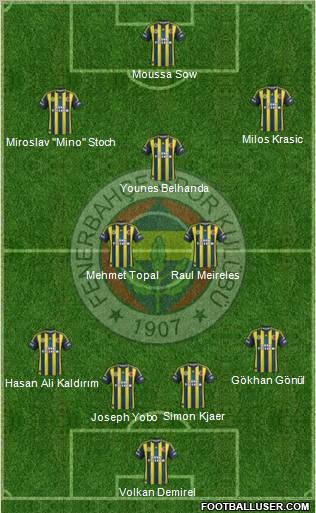 Fenerbahçe SK Formation 2013