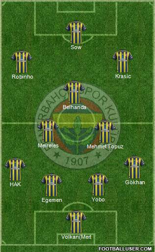 Fenerbahçe SK Formation 2013