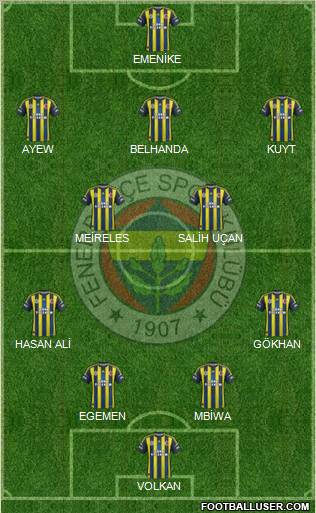 Fenerbahçe SK Formation 2013