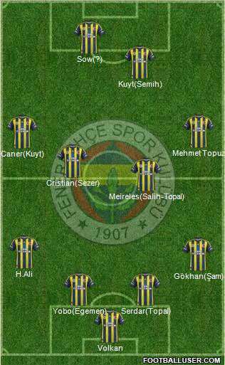 Fenerbahçe SK Formation 2013