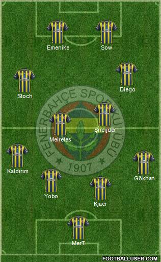 Fenerbahçe SK Formation 2013
