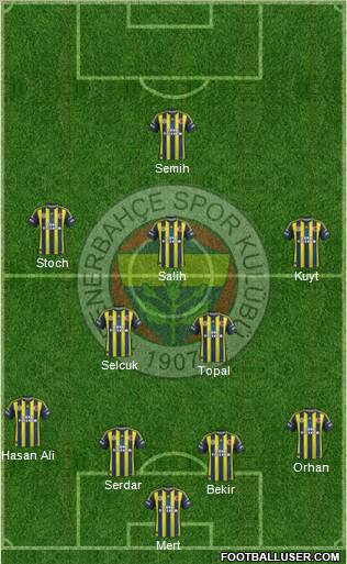 Fenerbahçe SK Formation 2013