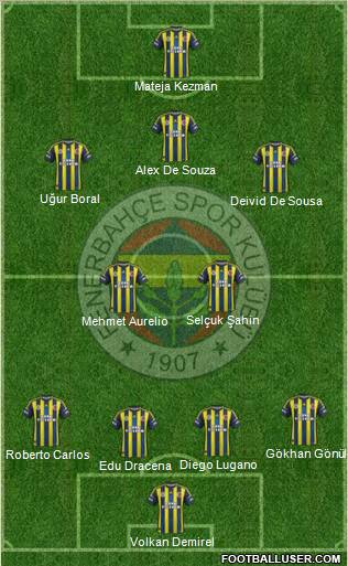 Fenerbahçe SK Formation 2013