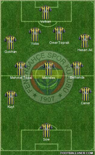 Fenerbahçe SK Formation 2013