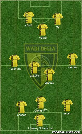 Wadi Degla Sporting Club Formation 2013