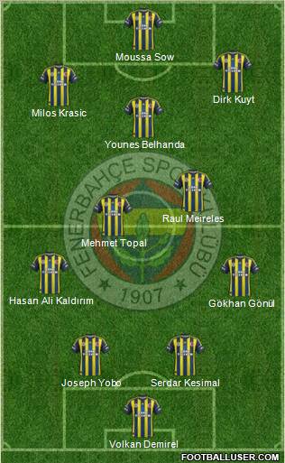 Fenerbahçe SK Formation 2013