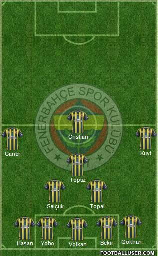 Fenerbahçe SK Formation 2013