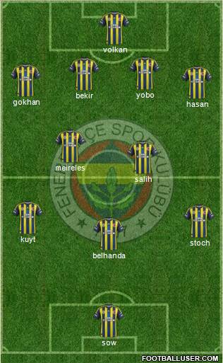 Fenerbahçe SK Formation 2013