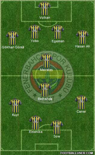 Fenerbahçe SK Formation 2013