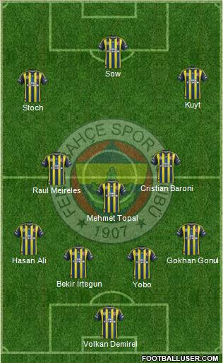 Fenerbahçe SK Formation 2013