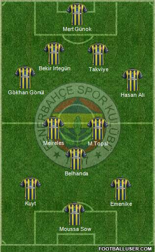 Fenerbahçe SK Formation 2013