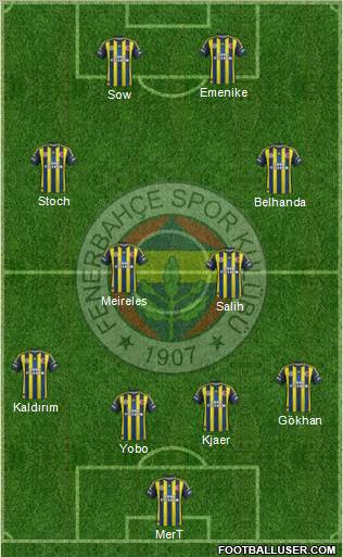Fenerbahçe SK Formation 2013