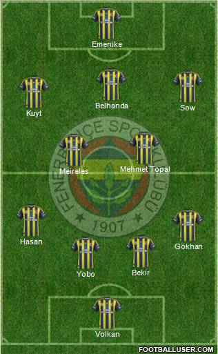 Fenerbahçe SK Formation 2013