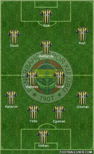 Fenerbahçe SK Formation 2013