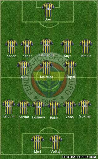 Fenerbahçe SK Formation 2013