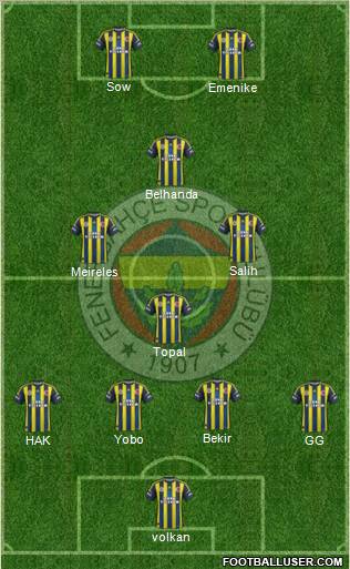 Fenerbahçe SK Formation 2013