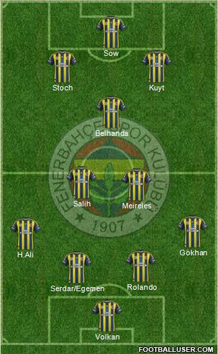 Fenerbahçe SK Formation 2013