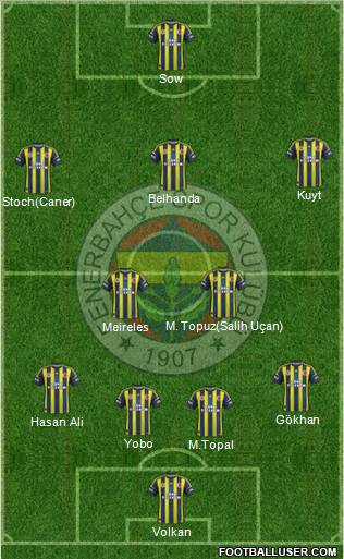 Fenerbahçe SK Formation 2013