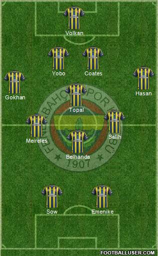 Fenerbahçe SK Formation 2013