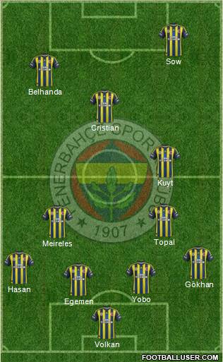 Fenerbahçe SK Formation 2013