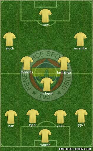 Fenerbahçe SK Formation 2013