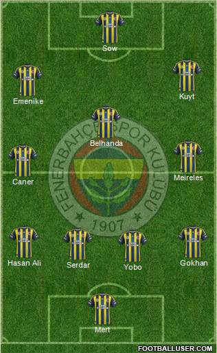Fenerbahçe SK Formation 2013