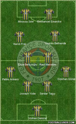 Fenerbahçe SK Formation 2013