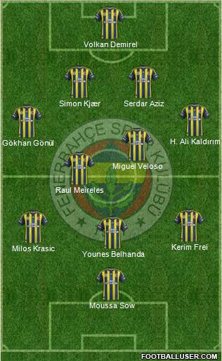 Fenerbahçe SK Formation 2013