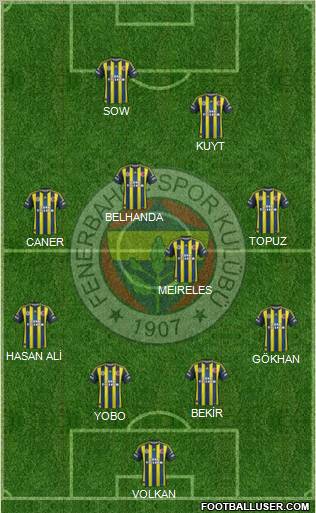 Fenerbahçe SK Formation 2013