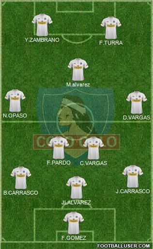 CSD Colo Colo Formation 2013
