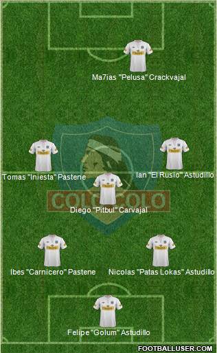 CSD Colo Colo Formation 2013