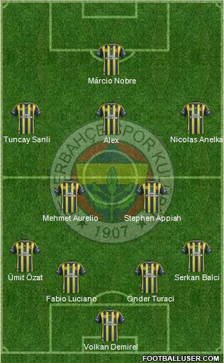 Fenerbahçe SK Formation 2013