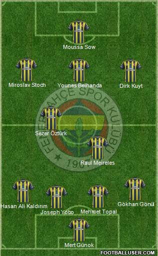 Fenerbahçe SK Formation 2013
