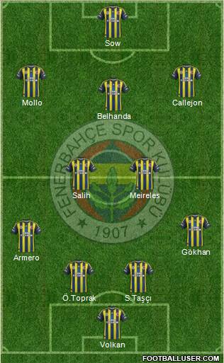 Fenerbahçe SK Formation 2013