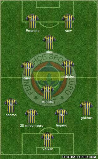 Fenerbahçe SK Formation 2013