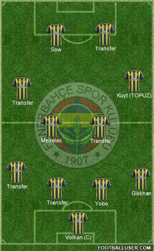 Fenerbahçe SK Formation 2013
