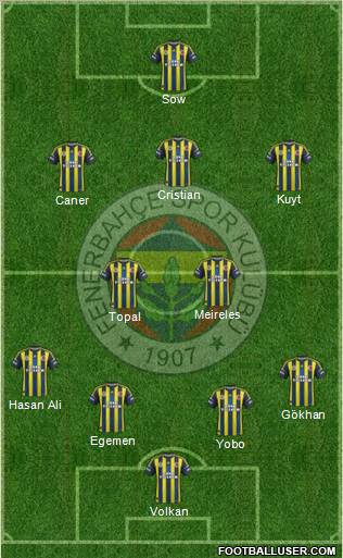 Fenerbahçe SK Formation 2013
