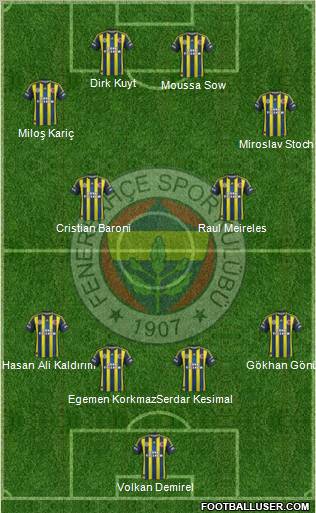 Fenerbahçe SK Formation 2013