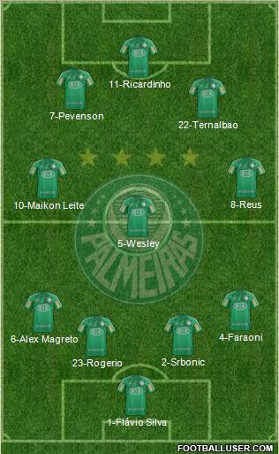 SE Palmeiras Formation 2013