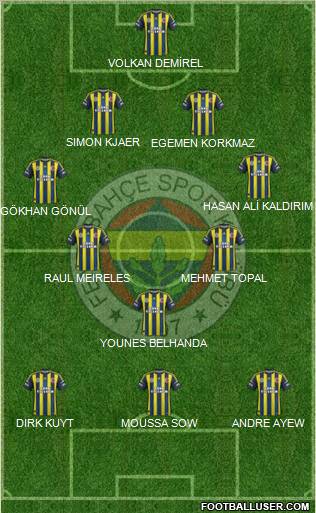 Fenerbahçe SK Formation 2013