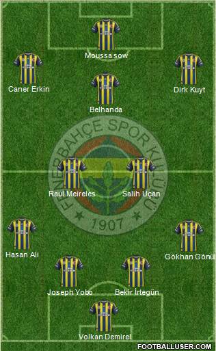 Fenerbahçe SK Formation 2013
