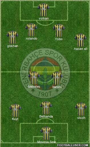 Fenerbahçe SK Formation 2013