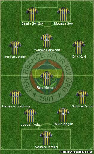 Fenerbahçe SK Formation 2013