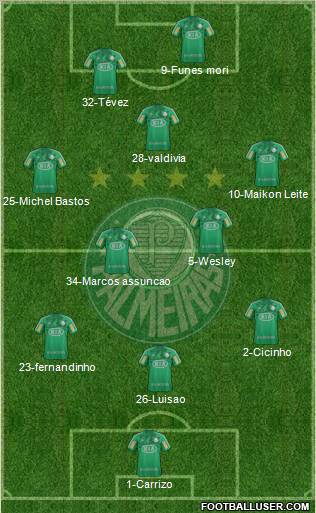 SE Palmeiras Formation 2013