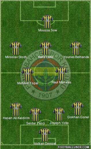 Fenerbahçe SK Formation 2013