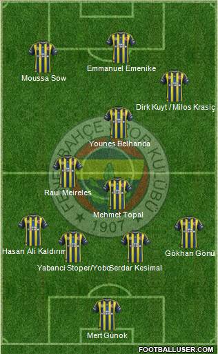 Fenerbahçe SK Formation 2013