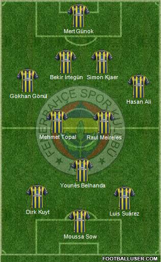 Fenerbahçe SK Formation 2013